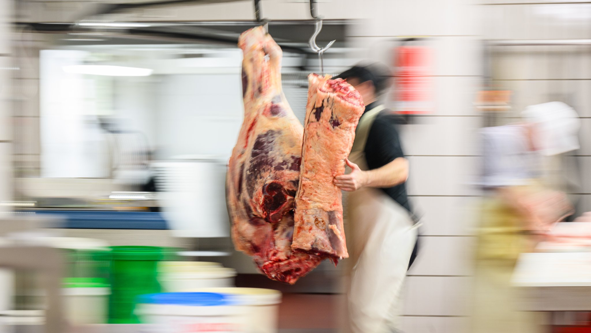 Eine Rinderkeule wird in einer Fleischerei in das Kühlhaus geschoben.
