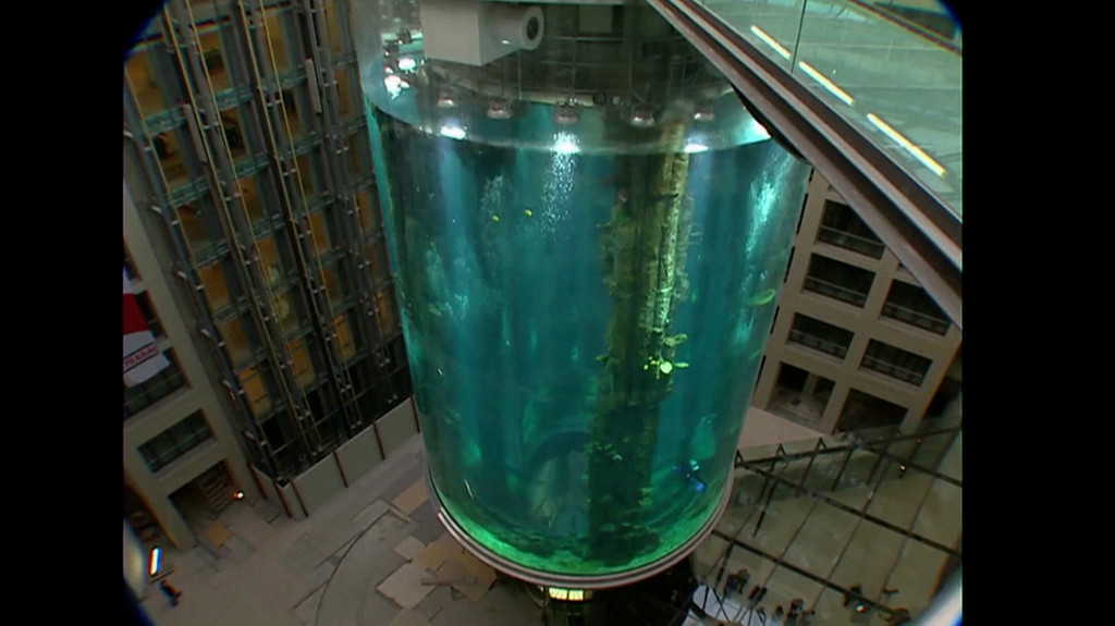 16 Meter hohes Aquarium in Berliner Hotel geplatzt | Bild: BR 16 Meter hohes Aquarium in Berliner Hotel geplatzt