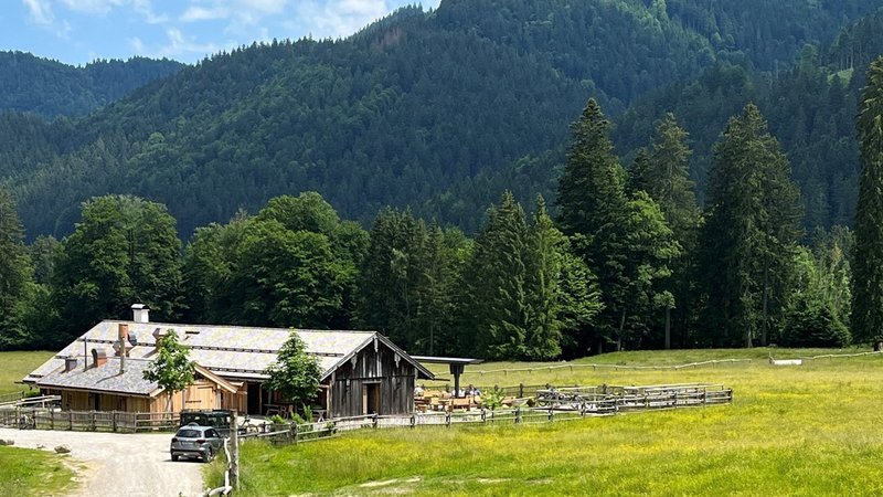 Saurüsselalm bei Bad Wiessee | Bild: BR / Diethard Kühne Saurüsselalm bei Bad Wiessee