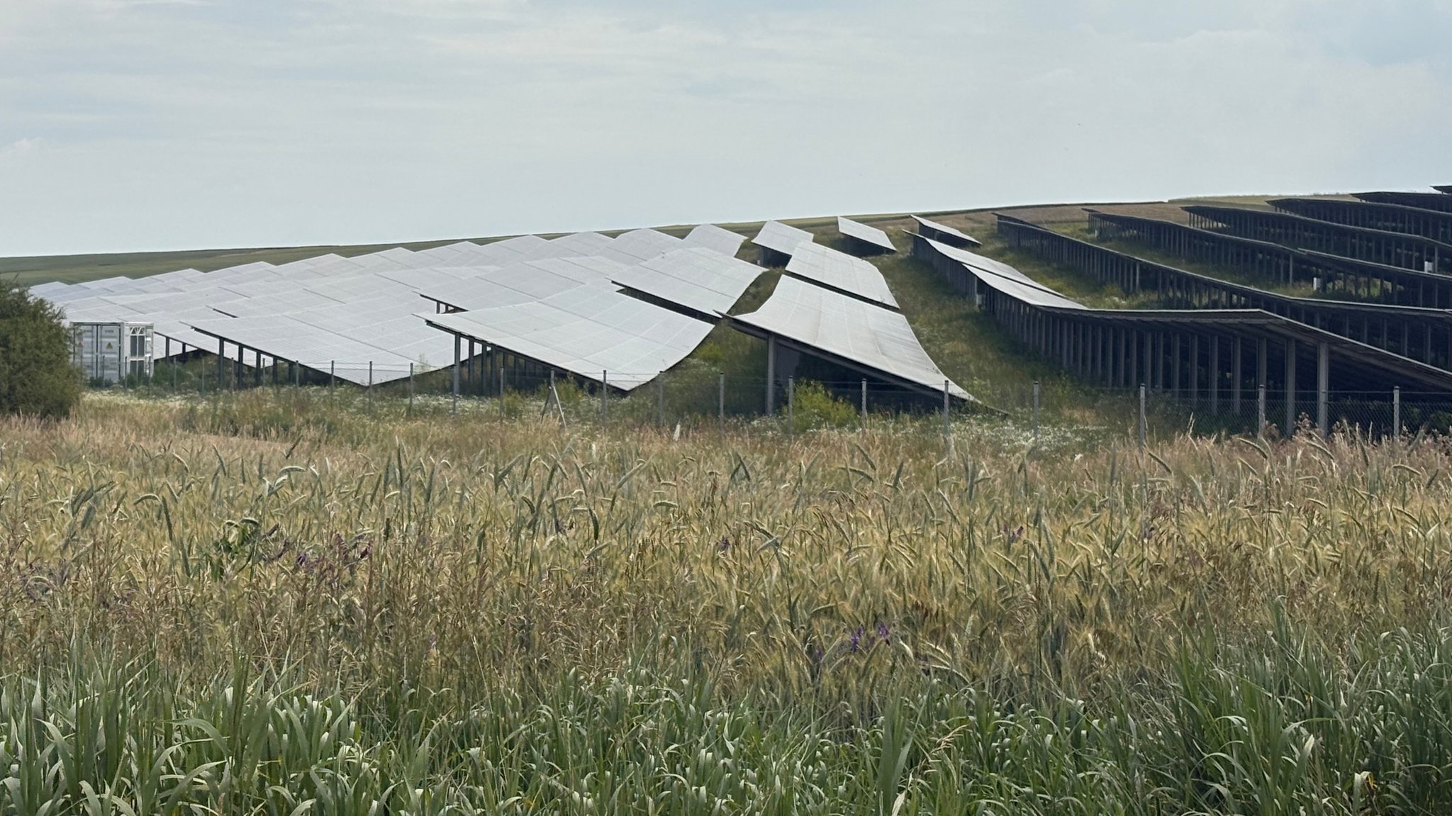 Solarpark im Landkreis Würzburg. | Bild: News5/Pascal Höfig Solarpark im Landkreis Würzburg.