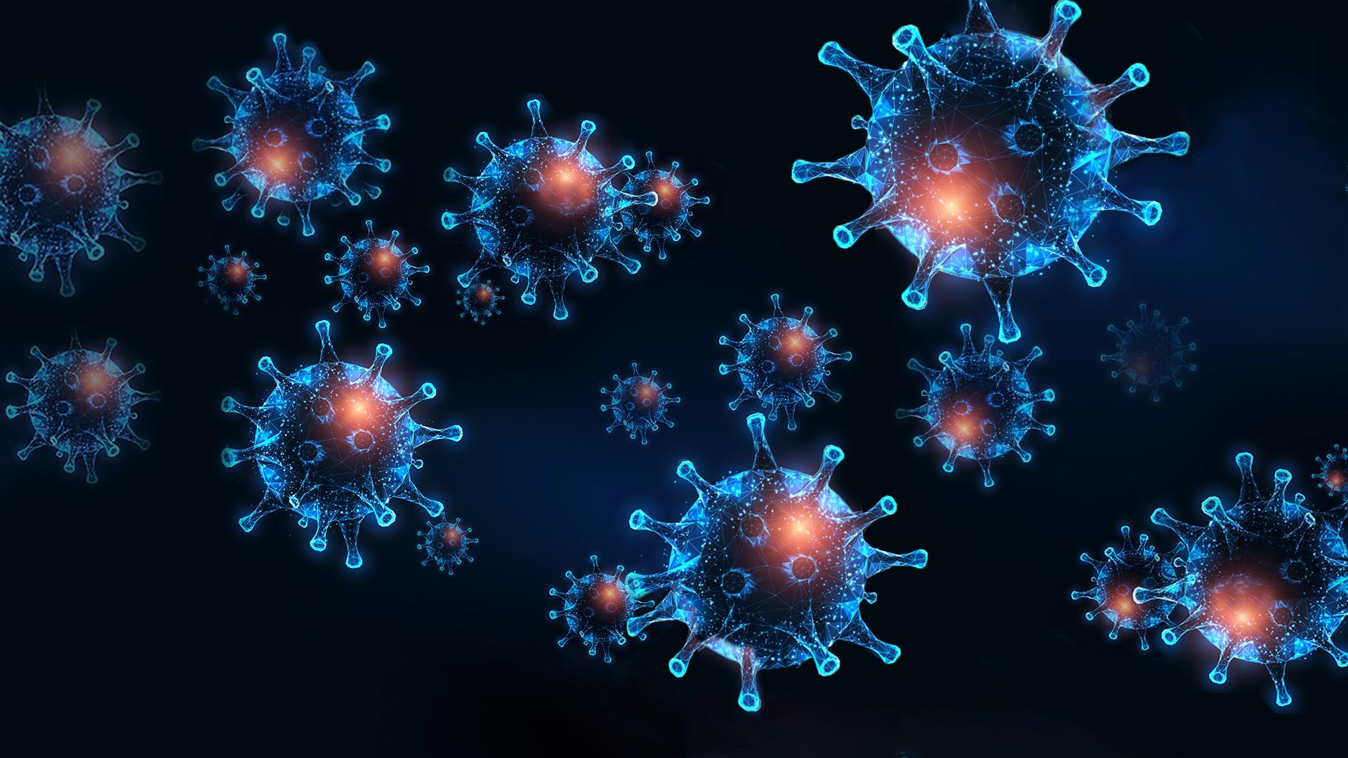 Wer sich mit SARS-CoV-2 einmal nachweislich angesteckt hat, ist erstmal meist durch sein Immunsystem geschützt. Aber der Schutz lässt nach.