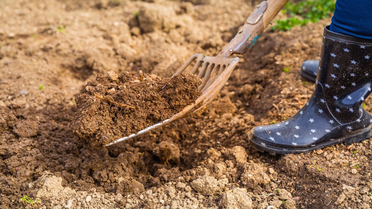 Eine Forke in Nahaufnahme, die Erde umwälzt. Daneben Füße mit blauen Gummistiefeln