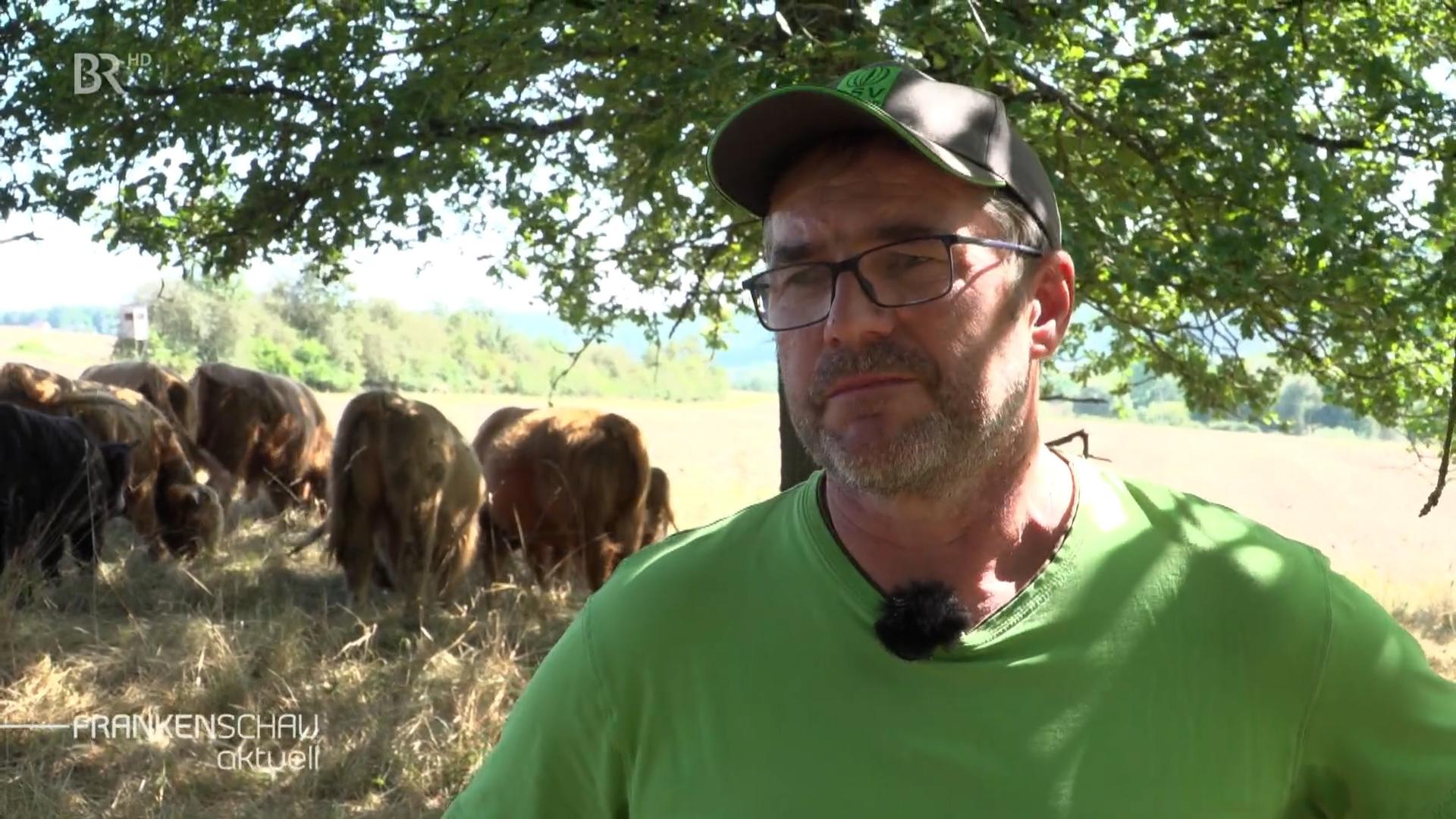 Edgar Thomas spricht über die Krankheit einer seiner Kühe.