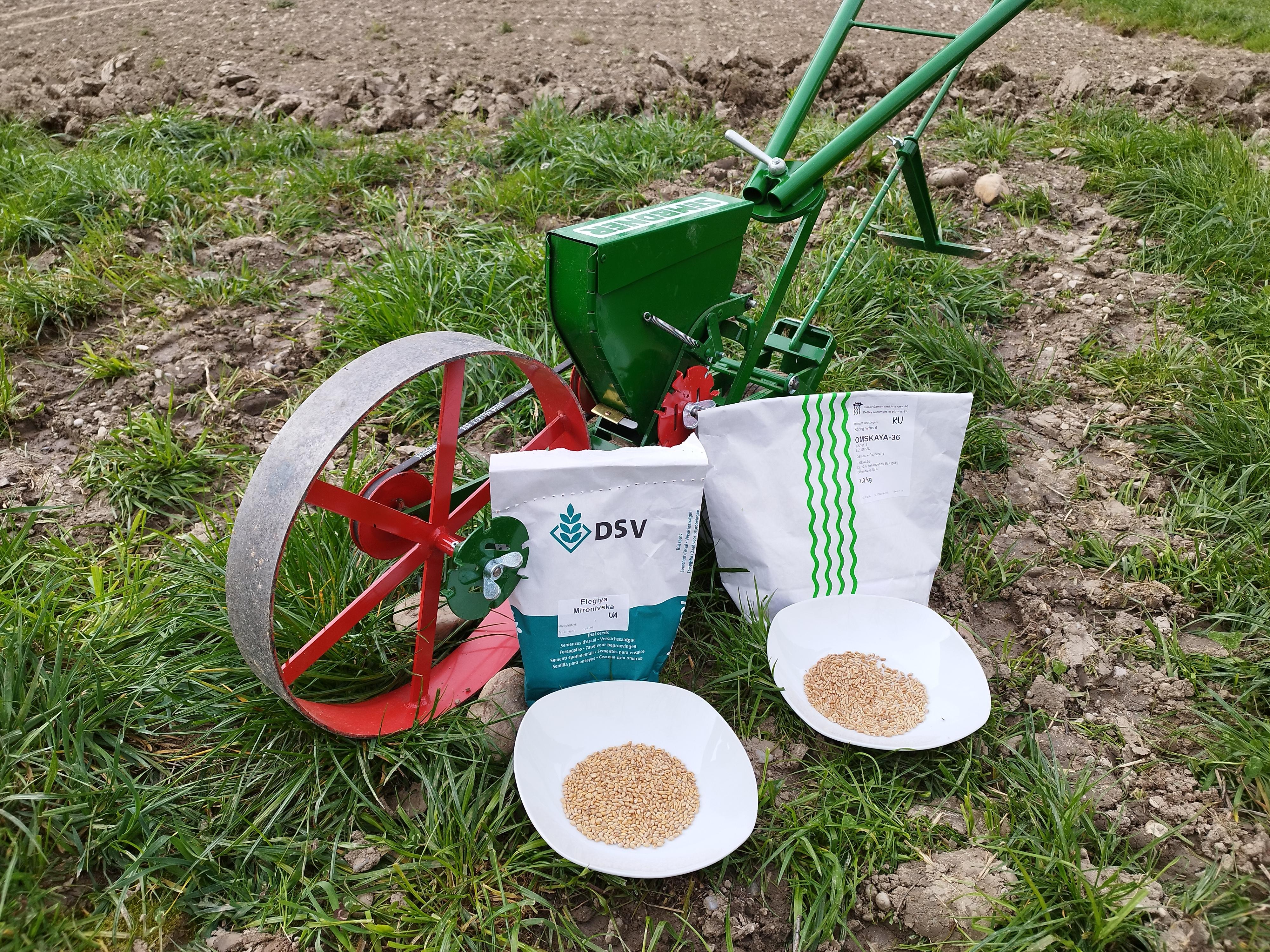 Auf einem Acker stehen zwei Schüsseln mit Körnern.