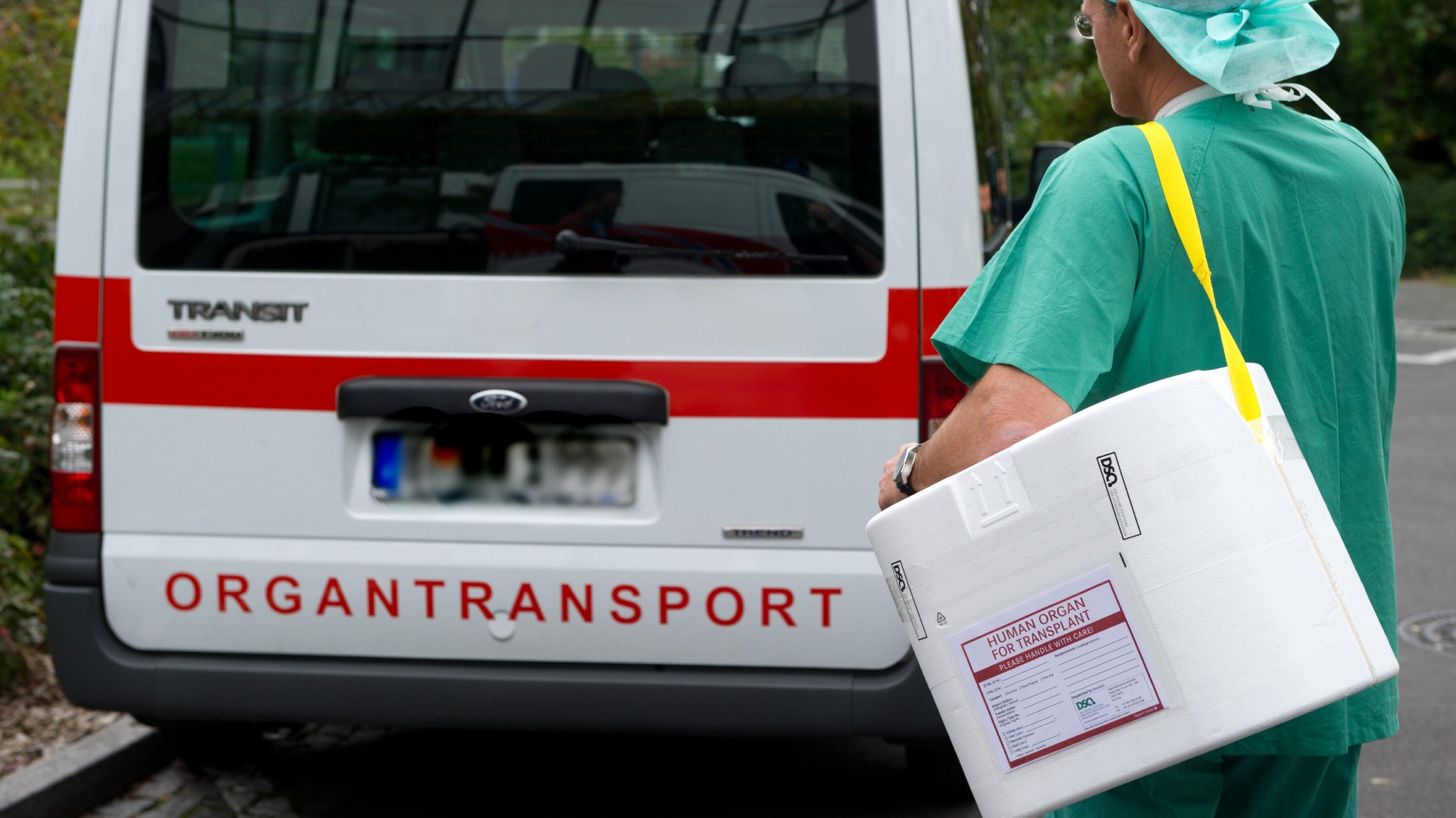 Organtransport: Wettlauf gegen die Zeit