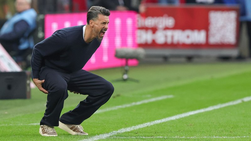 FCA-Trainer Sandro Wagner | Bild: picture-alliance/dpa FCA-Trainer Sandro Wagner
