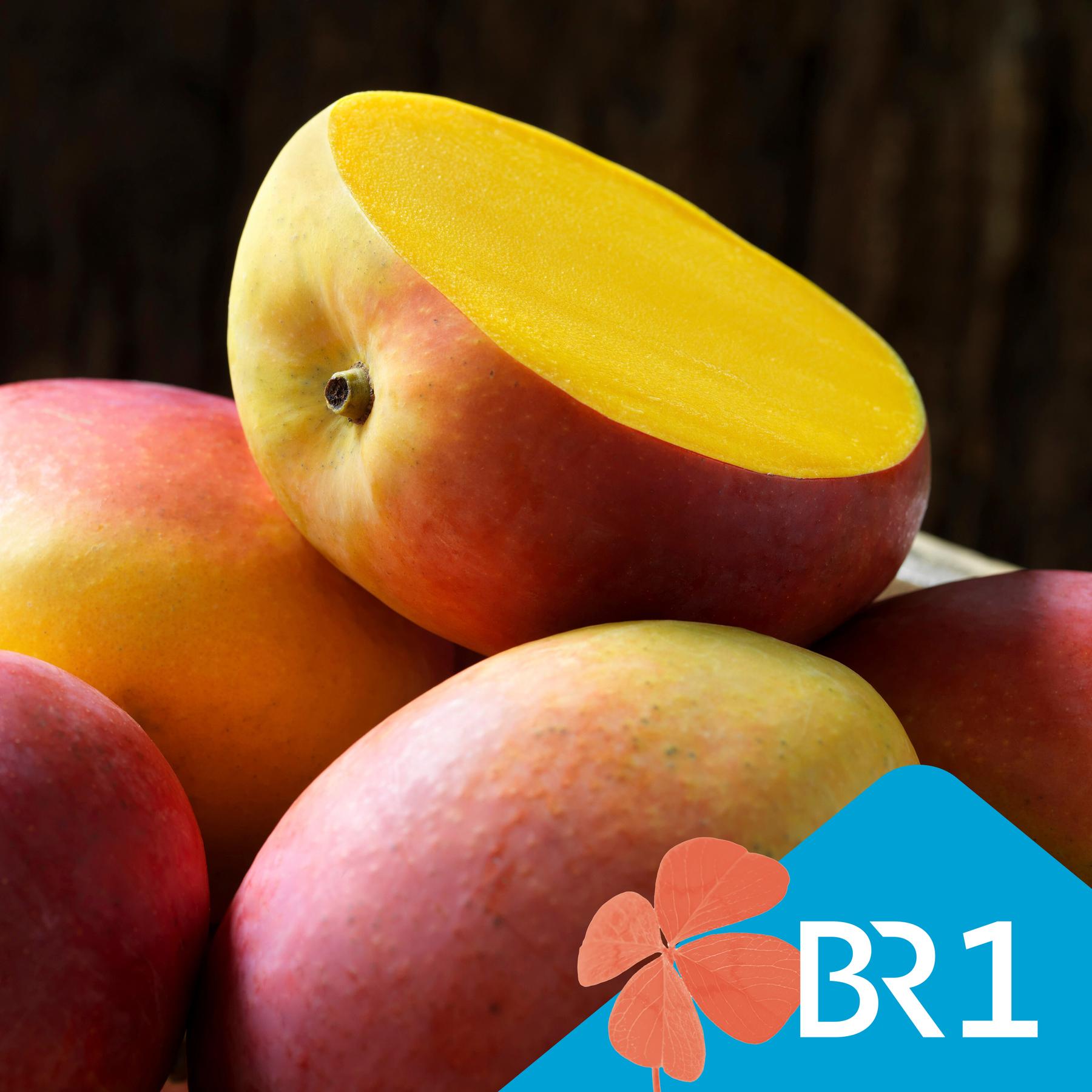 Genuss mit gutem Gefühl - Bio, fair, Schiff oder Flug: Welche Mango ist die beste? episode artwork