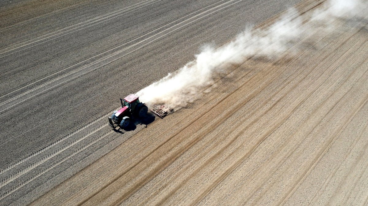 Symbolbild: Ein Traktor fährt über ein Feld.