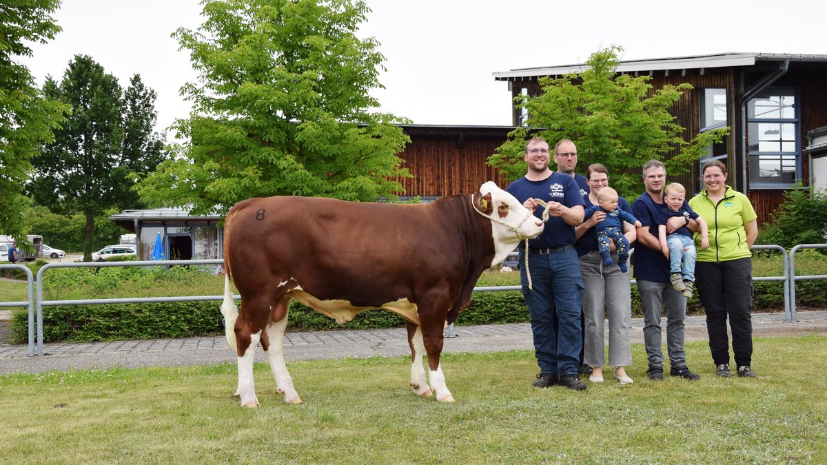 Neuer Rekord: Bulle "Melodie" für 222.000 Euro versteigert