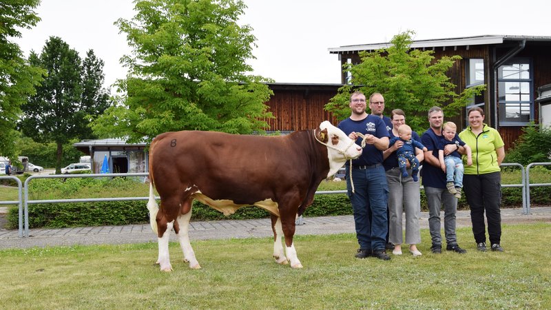 "Melodie" ist der neue Rekordhalter. Verkauft für 222.000 Euro. | Bild: Julia Steiner/Rinderzuchtverband Oberpfalz "Melodie" ist der neue Rekordhalter. Verkauft für 222.000 Euro.