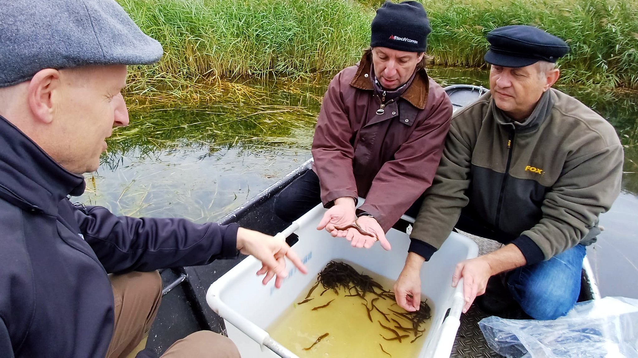 Thomas Speierl (Mitte) und Stephan Kröner (re.) wildern 200 Schlammpeitzger aus. | Bild: Fischerzunft Bischberg Thomas Speierl (Mitte) und Stephan Kröner (re.) wildern 200 Schlammpeitzger aus.