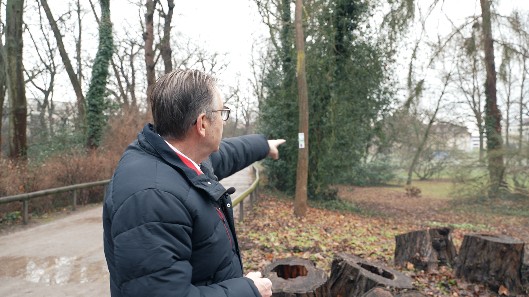 Etwas entfernt vom Tatort im Aschaffenburger Park Schöntal: Oberbürgermeister Jürgen Herzing zeigt das Areal für den  geplanten Erinnerungsort.