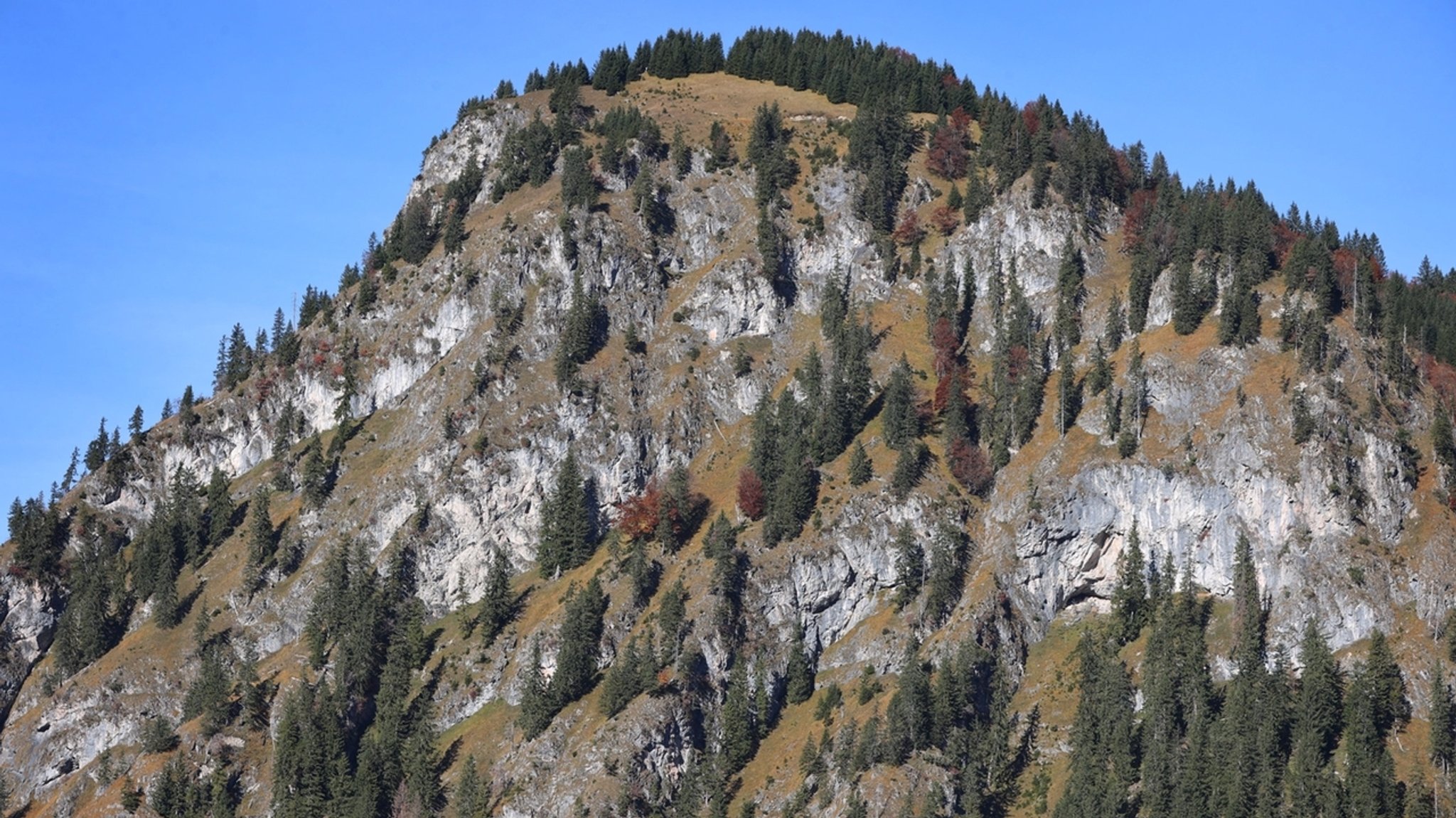 Bergwald (Archivbild).