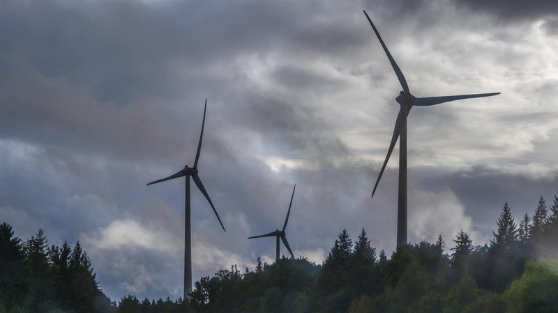 Windräder | Bild: picture alliance / imageBROKER | Helmut Meyer zur Capellen Windräder