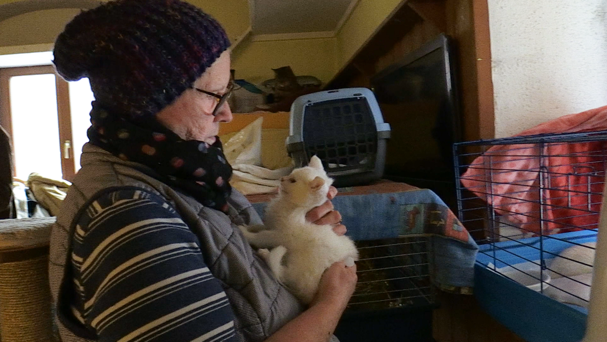 Gerlinde Michael von der Katzenhilfe Passau hält eine kleine Katze im Arm.