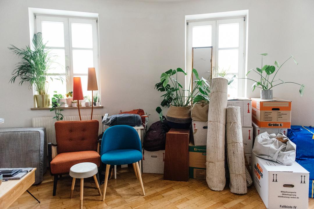 Möbel, Teppiche, Pflanzen und Umzugskartons in einer leeren Wohnung.