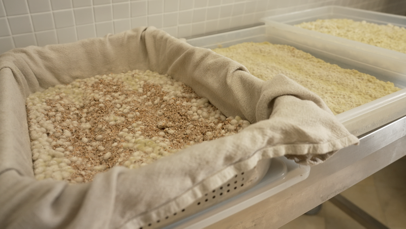 Ein watteartiger Flaum überzieht Sojabohnen, Weizen, Dinkel und Reis. Hier entsteht durch Fermentation Sojasauce.