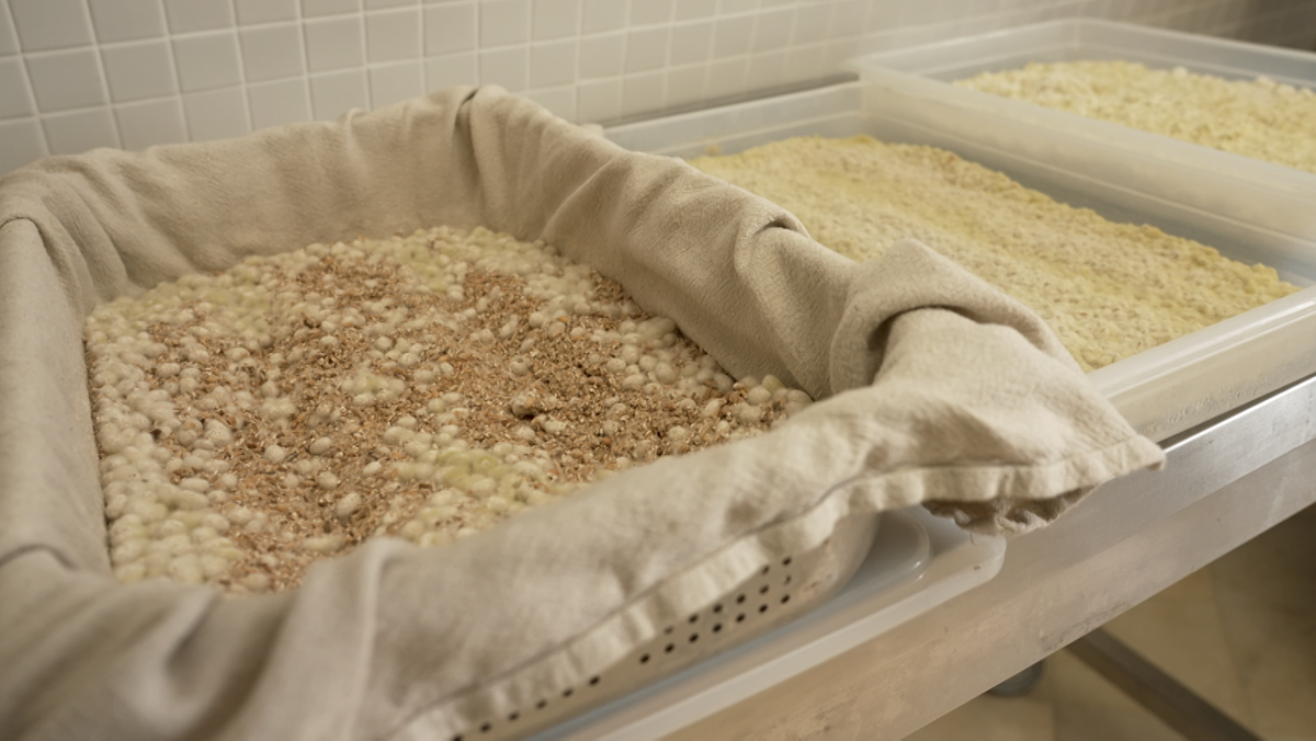 Ein watteartiger Flaum überzieht Sojabohnen, Weizen, Dinkel und Reis. Hier entsteht durch Fermentation Sojasauce.