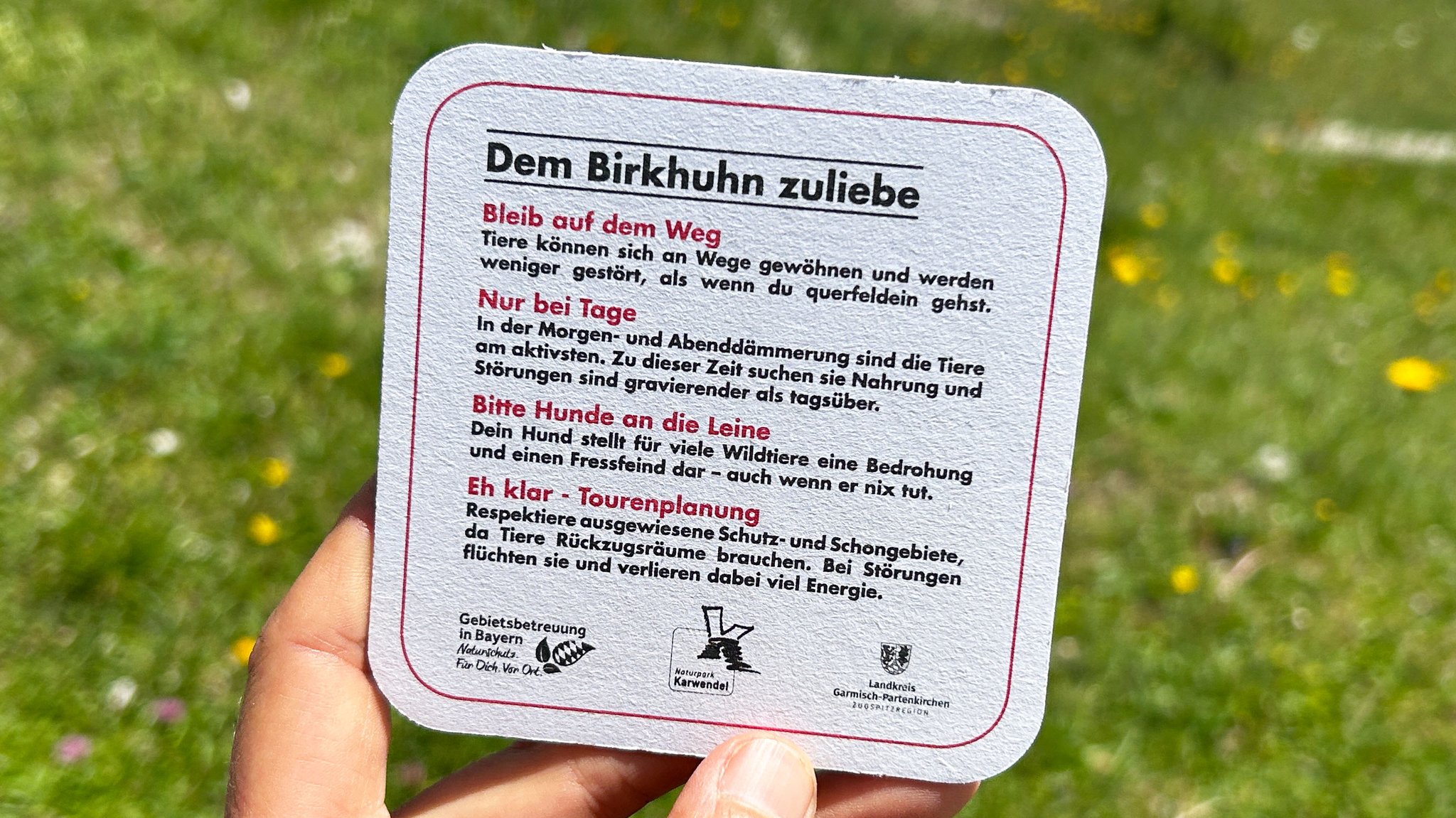 Vier Regeln stehen auf den Bierdeckeln: Auf dem Weg bleiben, nur tagsüber wandern, Hunde anleinen und Schutz- und Schongebiete meiden. | Bild: BR / Sophia Rauchhaus Vier Regeln stehen auf den Bierdeckeln: Auf dem Weg bleiben, nur tagsüber wandern, Hunde anleinen und Schutz- und Schongebiete meiden.