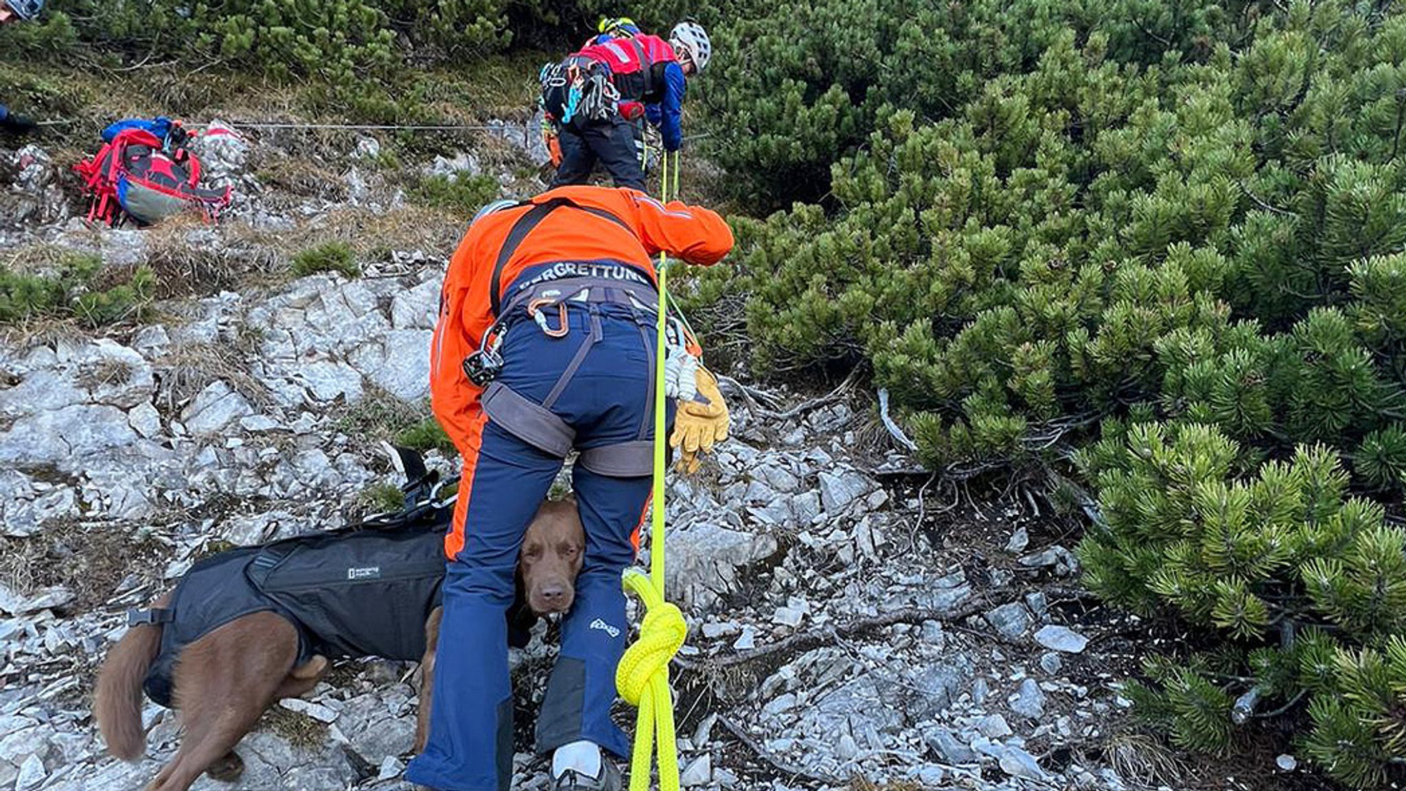 Bergwacht Bad Reichenhall bei der Rettungsaktion für den Labrador im Deutsch-österreichischen Grenzgebiet. 