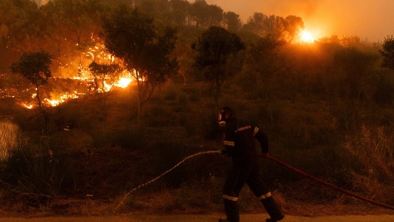 Ein Feuerwehrmann löscht die Flammen eines Waldbrandes in der Nähe der Stadt Alexandroupolis