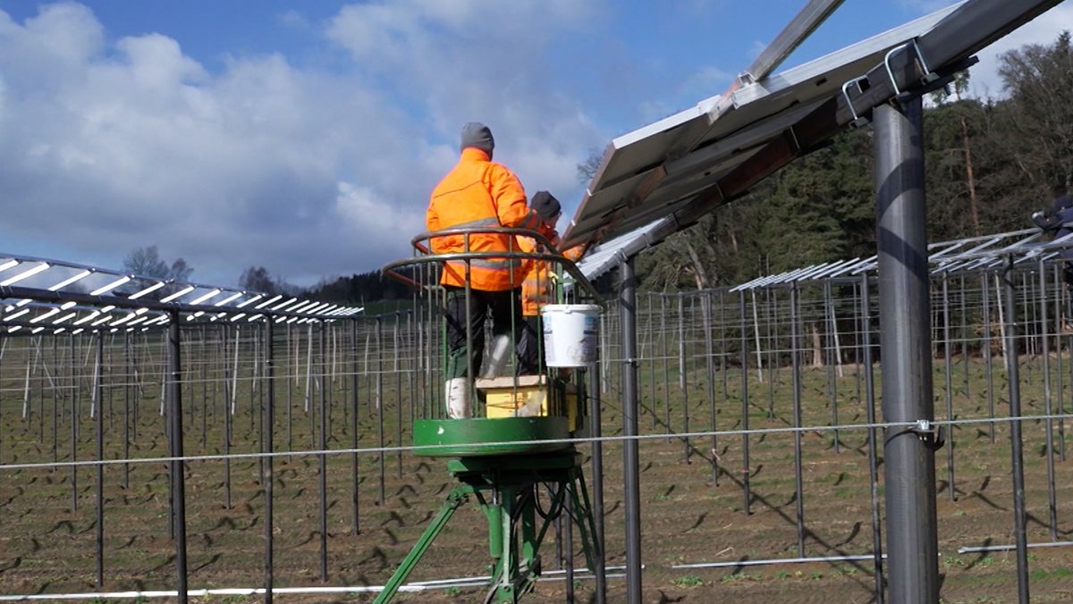 Die Energiewende braucht regenerative Energie: Demnächst geht eine Solar-Anlage in Betrieb, die über einem Hopfengarten installiert ist