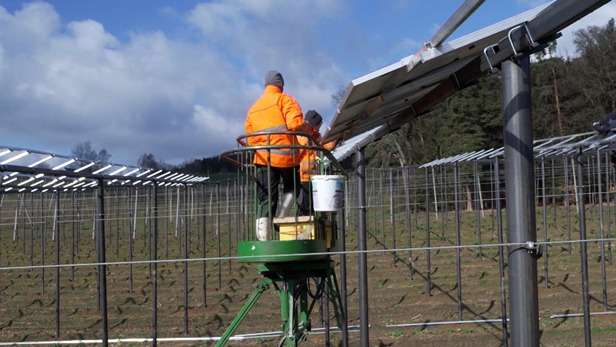 Pilotprojekt in der Hallertau: Strom und Hopfen ernten