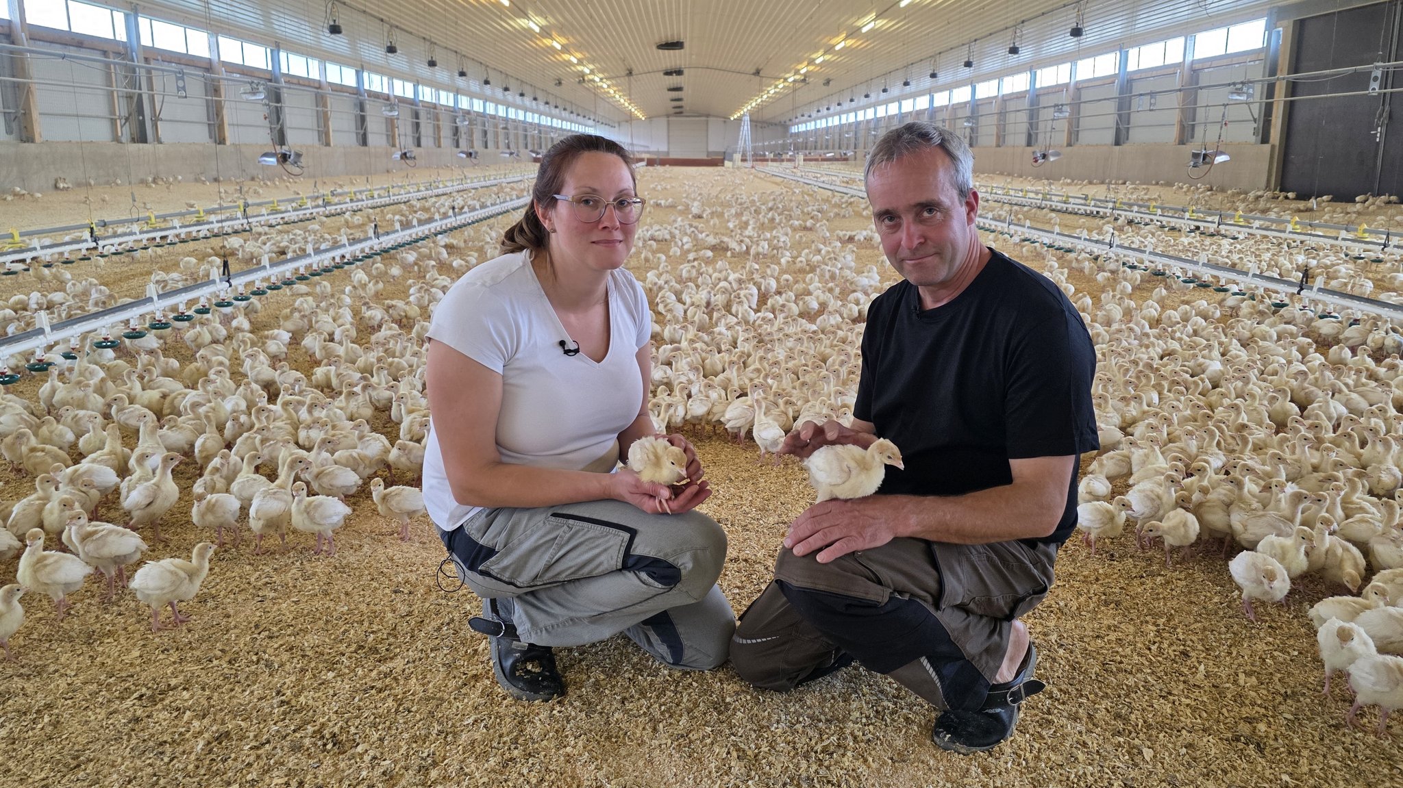 Ehepaar Sindel mit ihren Puten-Küken im Stall. | Bild: BR/Stefanie Heiß Ehepaar Sindel mit ihren Puten-Küken im Stall.