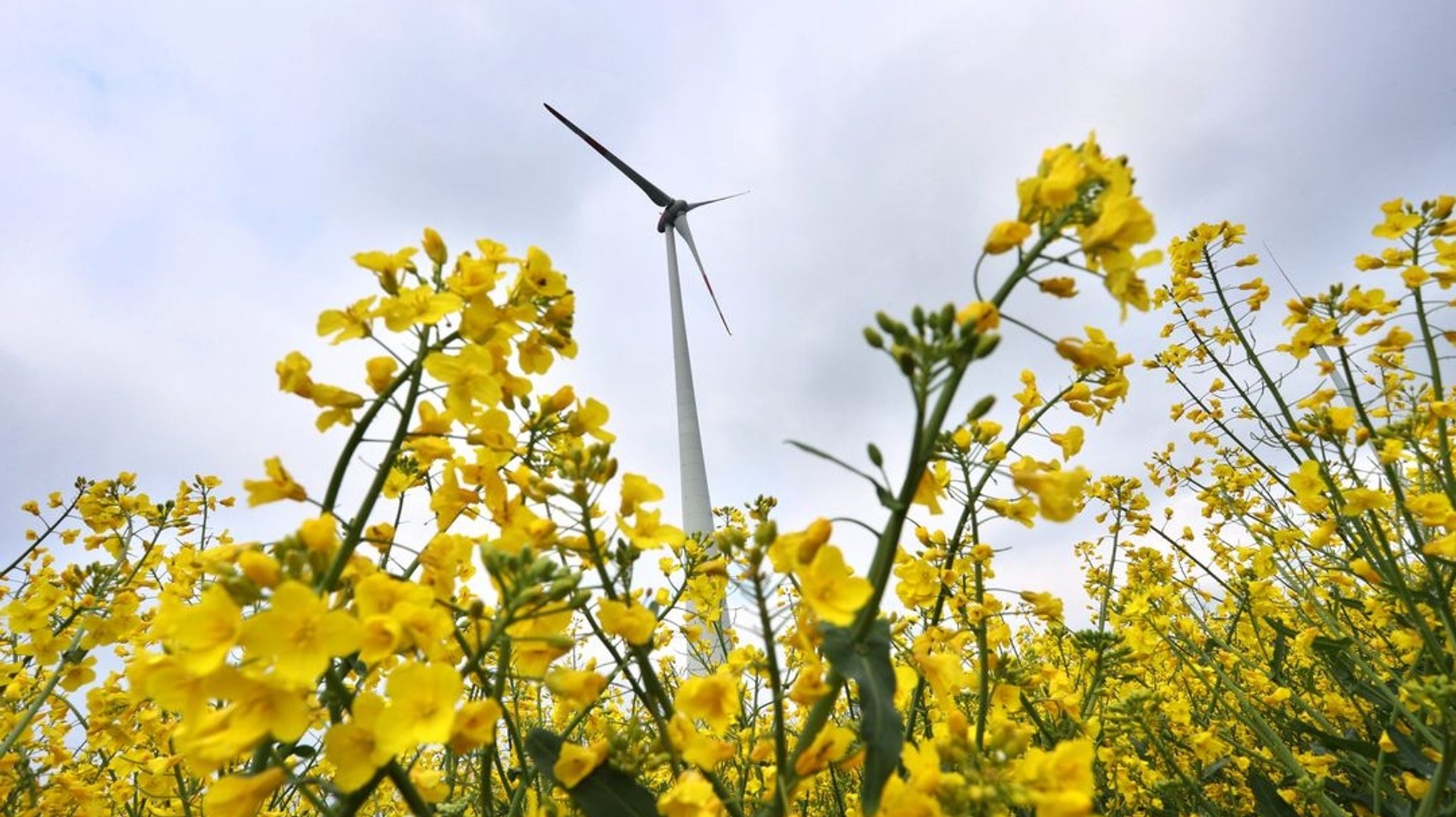 Aus für 10H? – Kabinett billigt beschleunigten Windkraftausbau