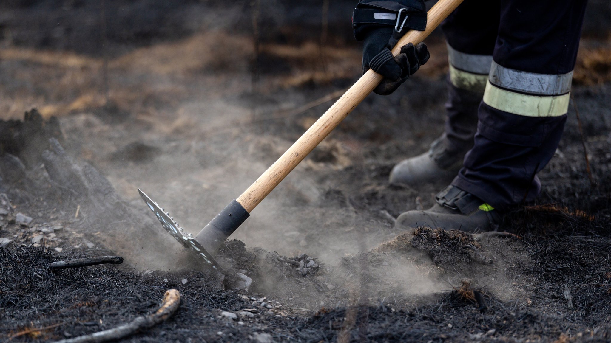 Symbolbild: Feuerwehreinsatzkraft bekämpft versteckte Glutnester beim Waldbrand