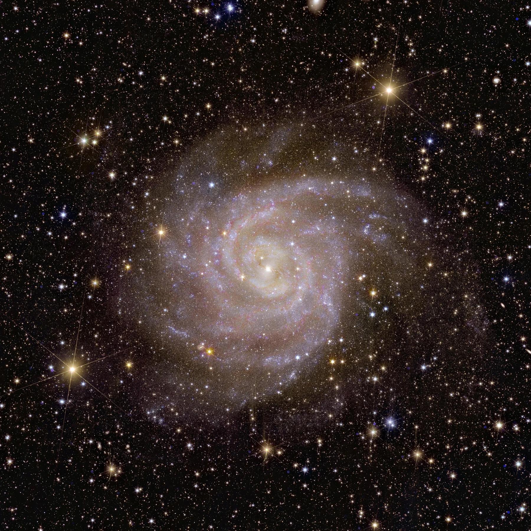 IQ - Wissenschaft schnell erzählt