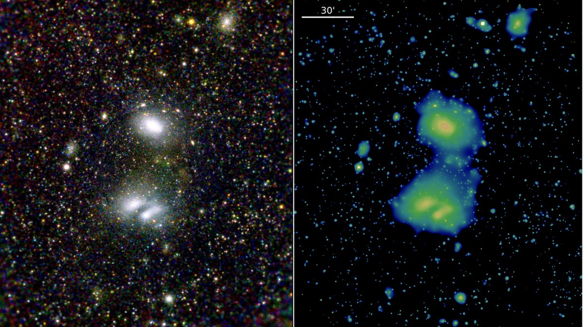 Diese beiden eROSITA-Bilder zeigen die beiden interagierenden Galaxienhaufen A3391 und A3395. Sie wurden am 17. und 18. Oktober 2019 beobachtet.
