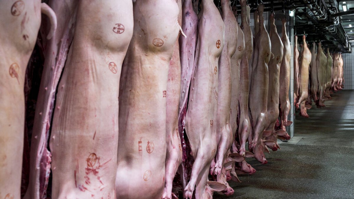 Schweinehälften hängen im Kühlhaus des Schlachthofs Bamberg.