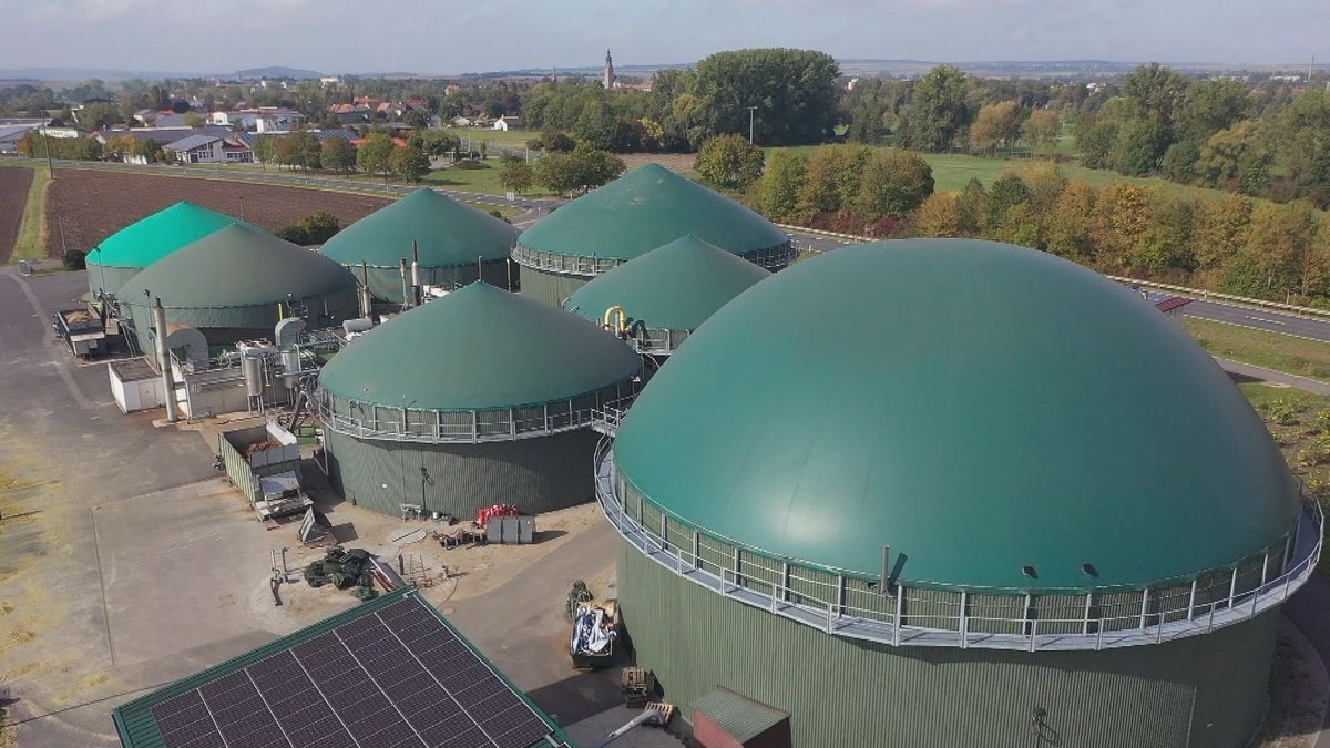Energiewende: Biogas durch Maisdeckel ausgebremst?