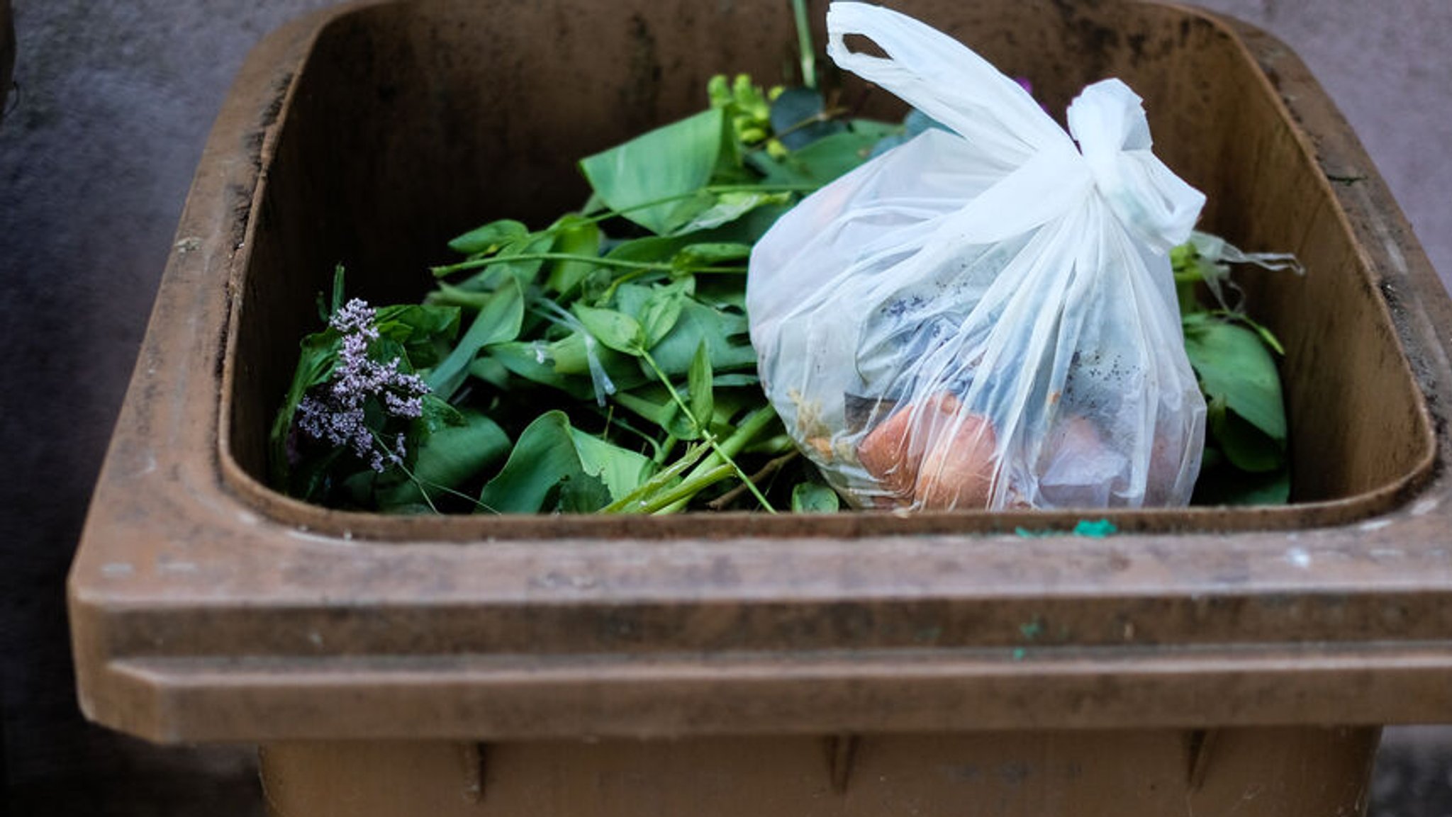 Biotonnen-Challenge: Plastiktüten sind das größte Problem