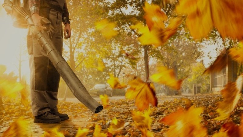 Laubsauger: Umweltschädlich aber effektiv | Bild: stock.adobe.com/photoschmidt Laubsauger: Umweltschädlich aber effektiv