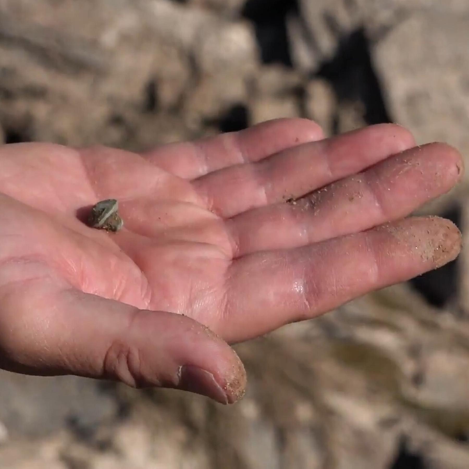 Dr. Ivonne Weiler-Rahnfeld: Archäologische Schätze im Niedrigwasser