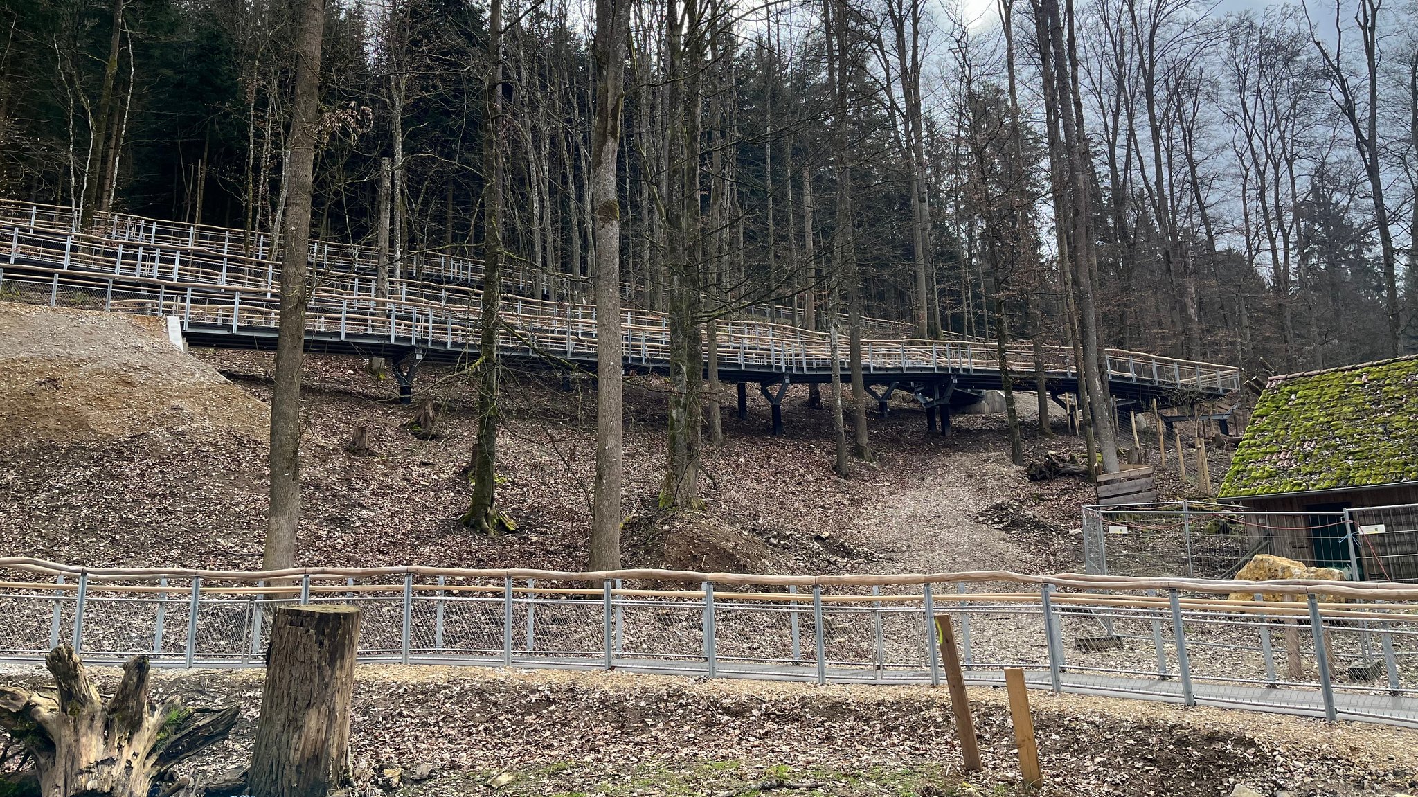 Eine hölzerne Fußgängertrasse führt durch den Wildpark.