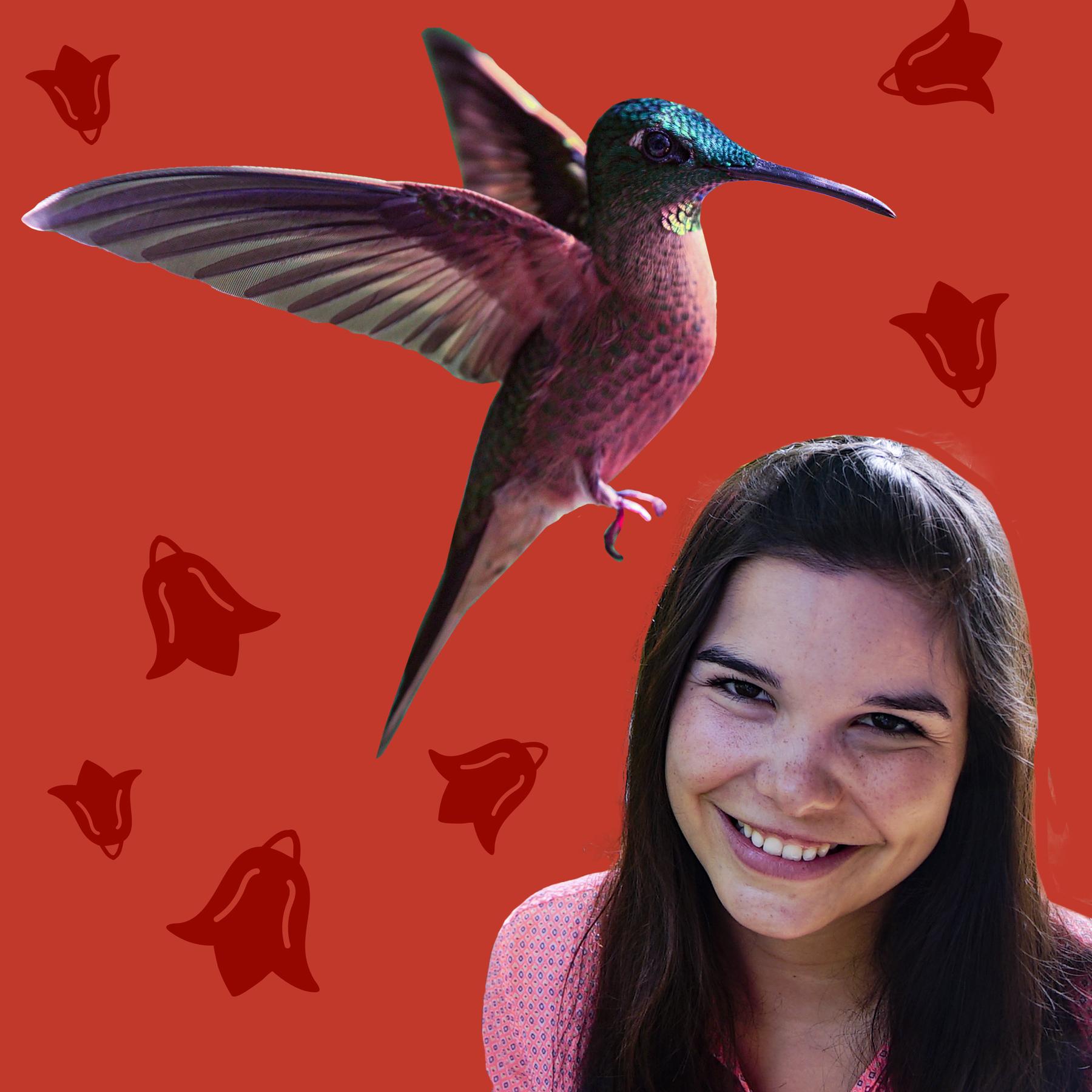 Kolibris - Schillernde, schwirrende Flugkünstler