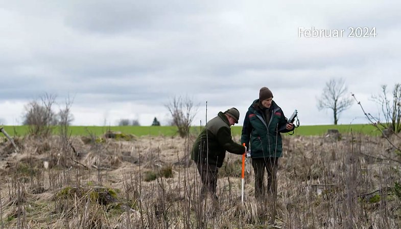 Arbeiter begutachten die Entwicklung der Bäume. | Bild: BR Arbeiter begutachten die Entwicklung der Bäume.