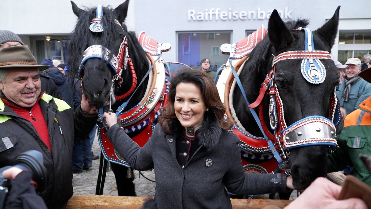 Landwirtschaftsministerin Michaela Kaniber hält zwei Pferde an den Zügeln.