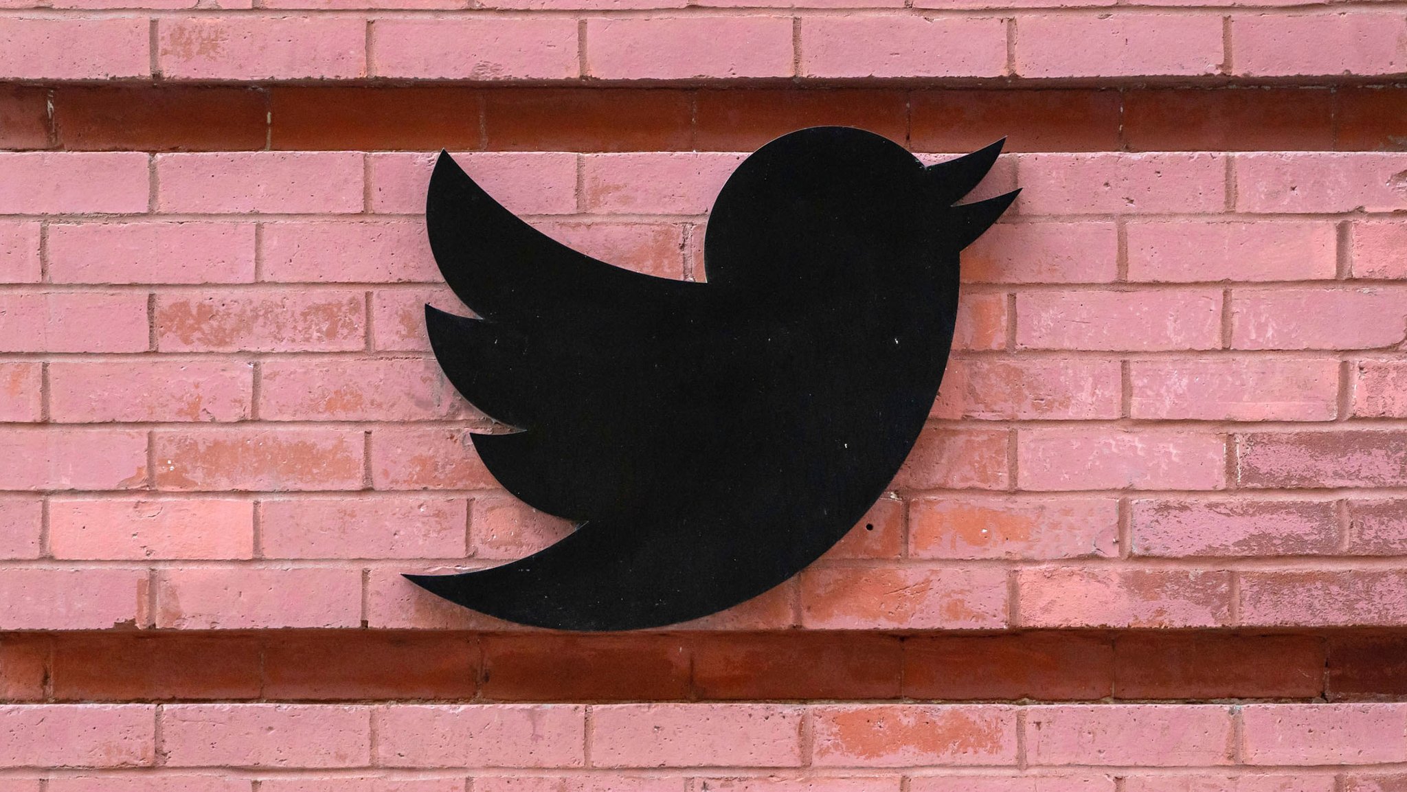 Twitter-Logo auf roter Ziegelwand