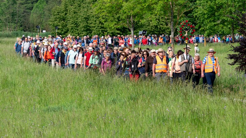 Zahlreiche Pilger haben sich auch dieses Jahr der größten Fußwallfahrt Deutschlands angeschlossen. | Bild: pa/dpa/Armin Weigel Zahlreiche Pilger haben sich auch dieses Jahr der größten Fußwallfahrt Deutschlands angeschlossen.