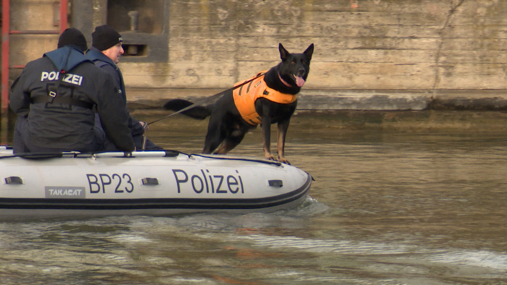 Ein Leichenspürhund auf einem Polizeiboot am Nürnberger Hafen