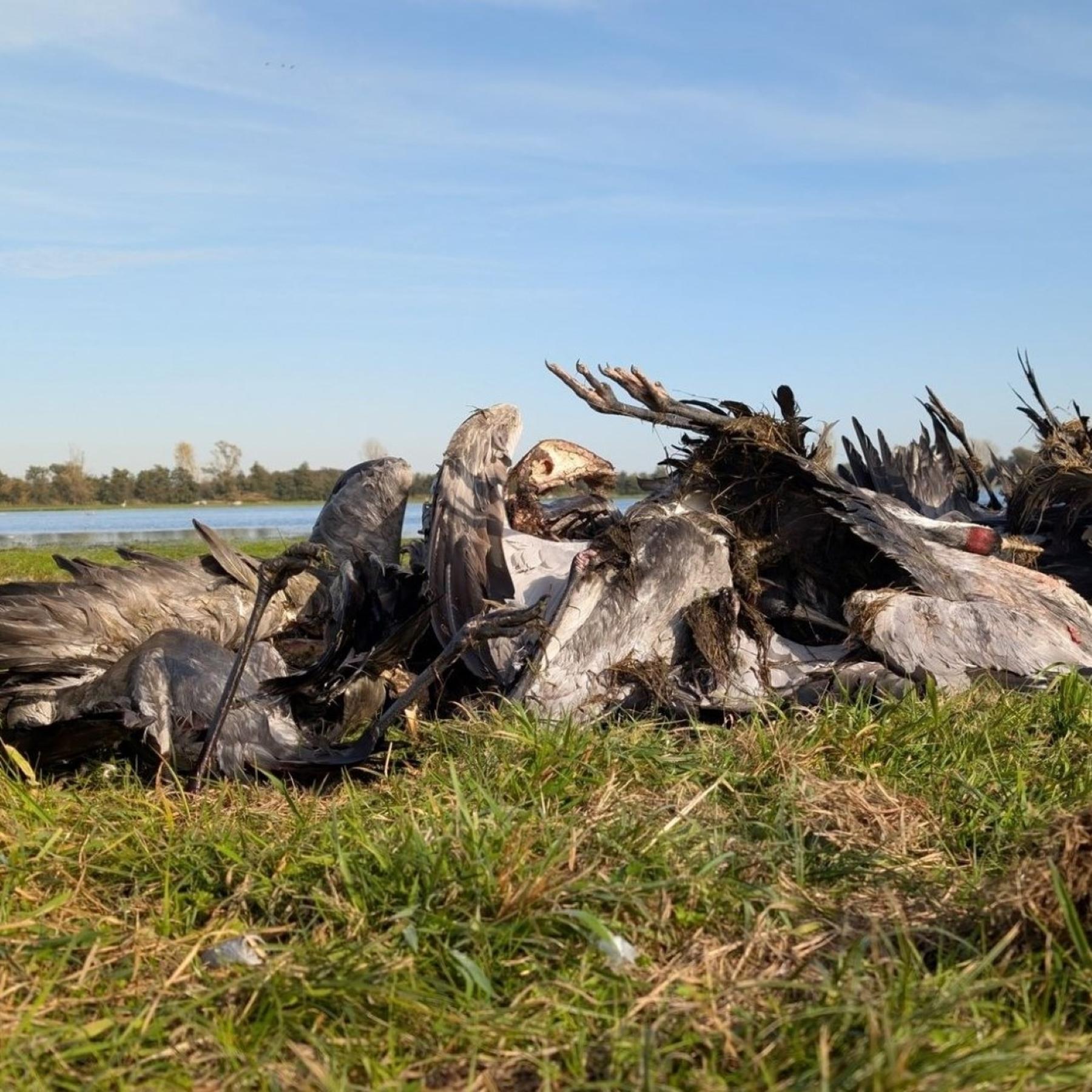 BR24 Thema des Tages