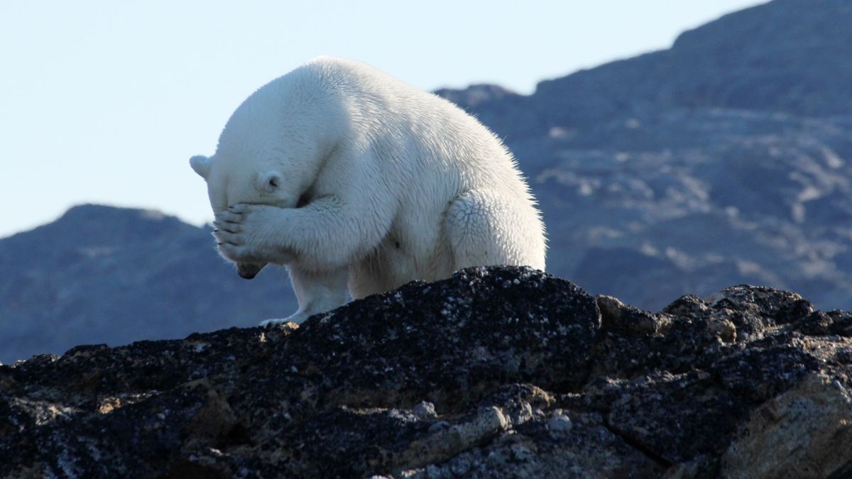 Weltklimarat Warnt Eindringlich Vor Folgen Des Klimawandels Br24