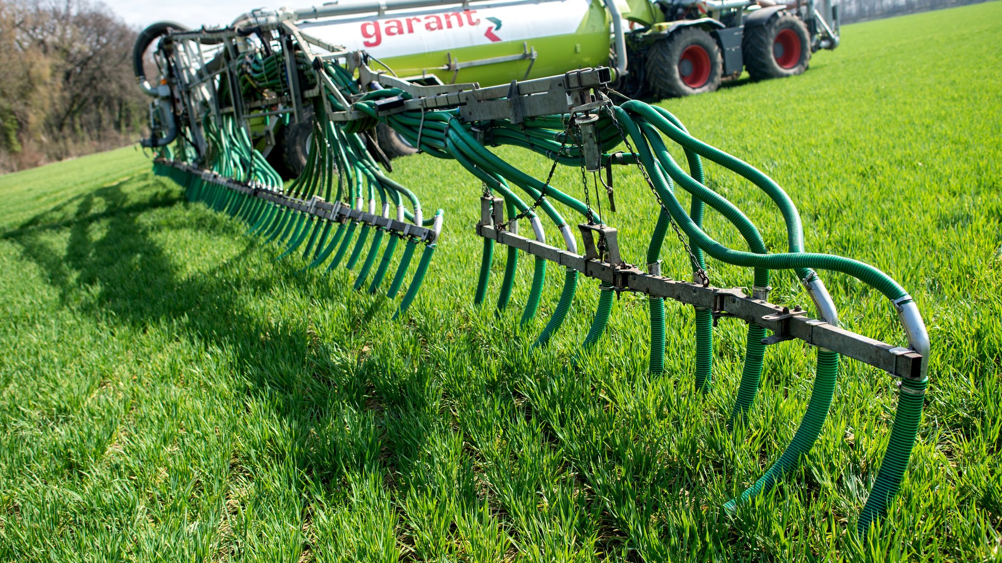 Mit einem Traktor mit angehängtem Schwanenhalsfass und Schleppschlauchverteiler wird Gülle als Düngemittel ausgebracht. 