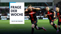 Ein ständig wiederkehrendes Bild: Jubelnde Leverkusener Spieler | Bild:Bildmaterial: picture alliance/dpa; Bearbeitung: Bayerischer Rundfunk