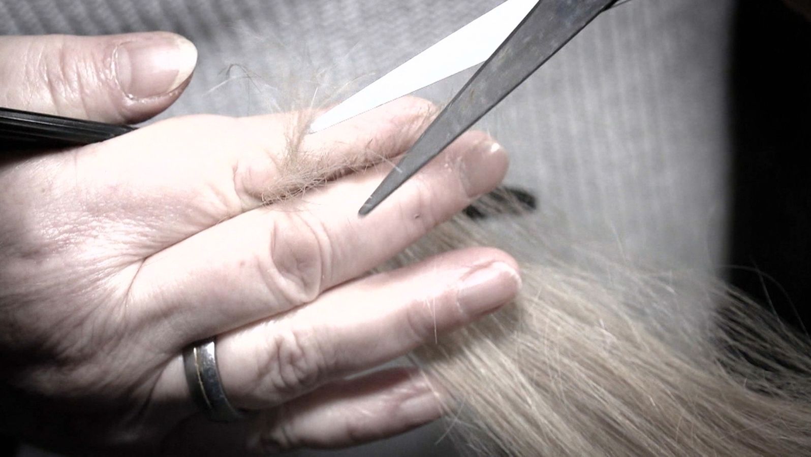 seit mitte dezember sind alle friseurladen in bayern geschlossen salonmieten und mitarbeitergehalter aber laufen weiter da kommt manch schwarzes schaf in versuchung einnahmen durch schwarzarbeit zu