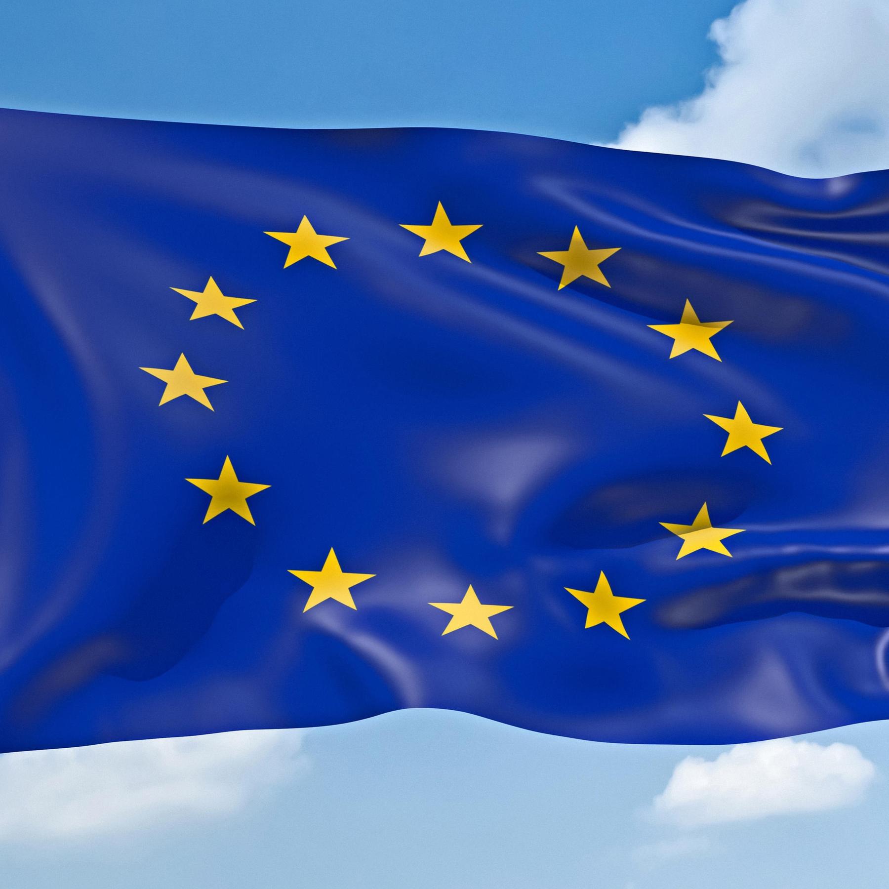 Europa - ein Traum? Wie engagierte Bürger die EU verändern wollen episode artwork